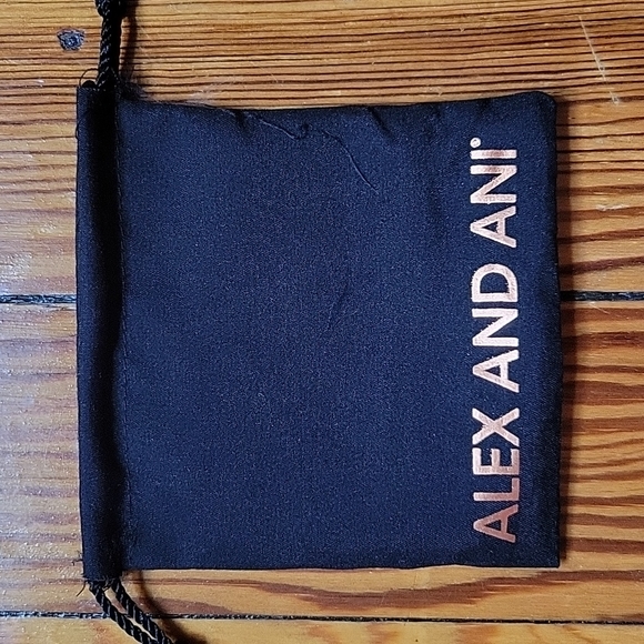 Alex and Ani Snowglobe Bracelet - Picture 7 of 7